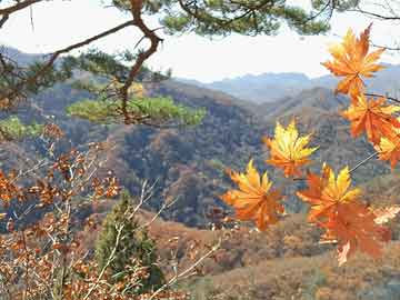 人福医药或迎国资大股东